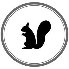 Secret Squirrel Moment